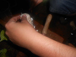 DSCN0588.JPG