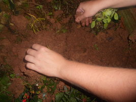 DSCN0601.JPG