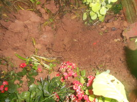 DSCN0585.JPG
