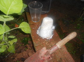 DSCN0586.JPG
