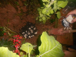 DSCN0595.JPG