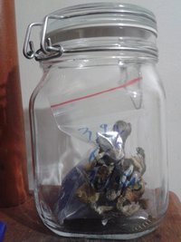 pote pra conservação.jpg