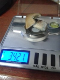 20150914_192529.jpg