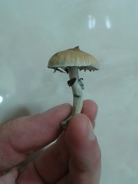 20150918_003522.jpg
