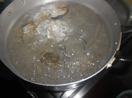 DSCN0489.JPG