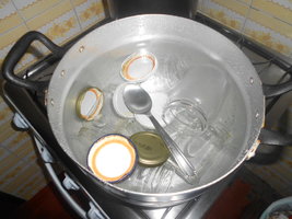 DSCN0488.JPG