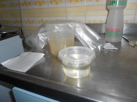 DSCN0490.JPG