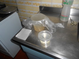 DSCN0491.JPG