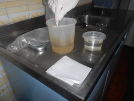 DSCN0494.JPG