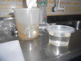 DSCN0495.JPG