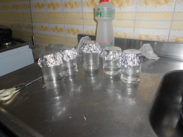 DSCN0496.JPG