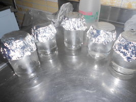 DSCN0497.JPG