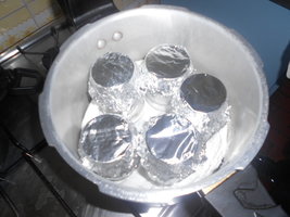 DSCN0498.JPG