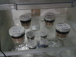 20150923_203908.jpg