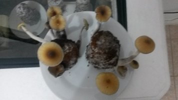 20150922_201752.jpg