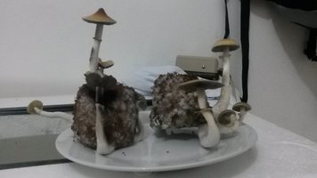 20150922_201758.jpg