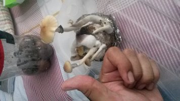 20150913_120542.jpg