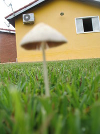IMG_6079.JPG