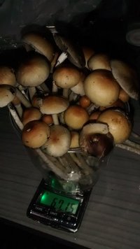 IMG-20151001-WA0004.jpeg