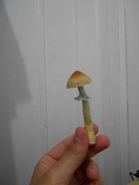 DSCN0717.JPG