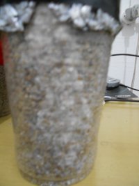 DSCN0743.JPG