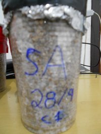 DSCN0742.JPG