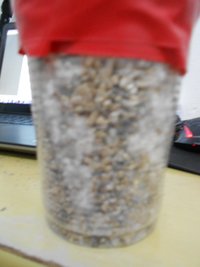 DSCN0745.JPG