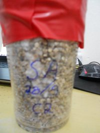 DSCN0744.JPG