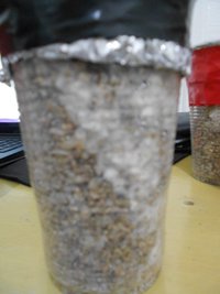 DSCN0747.JPG