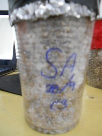 DSCN0746.JPG
