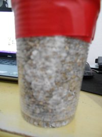 DSCN0749.JPG