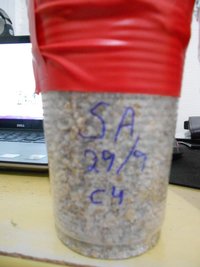 DSCN0748.JPG