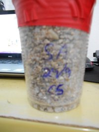 DSCN0750.JPG