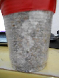 DSCN0752.JPG