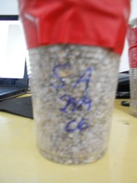 DSCN0753.JPG