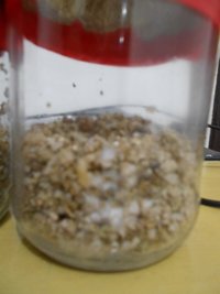 DSCN0765.JPG