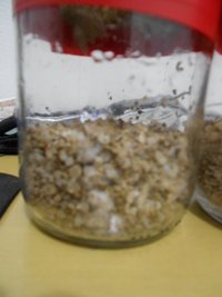 DSCN0764.JPG