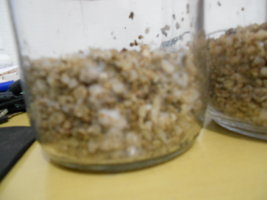 DSCN0763.JPG