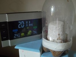 100_3104.JPG
