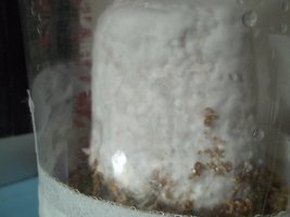 100_3105.JPG