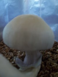 100_3155.JPG