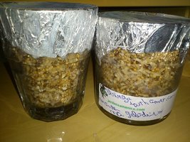 DSC_8615.jpg
