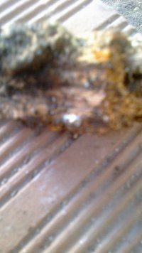 img-20151010-wa0076.jpg