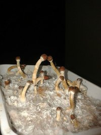 Av8mHSAdN6n1UmJuOfZJjY7_ok9eBkVLm-K9ad7dRfx0.jpg