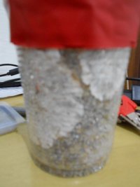 DSCN0797.JPG