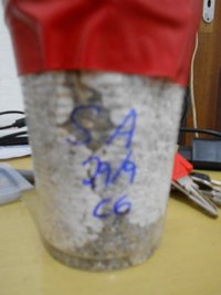 DSCN0796.JPG