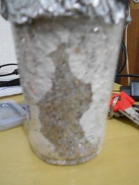 DSCN0799.JPG