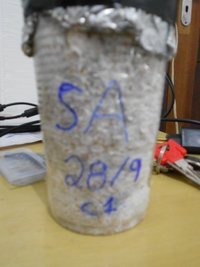 DSCN0798.JPG