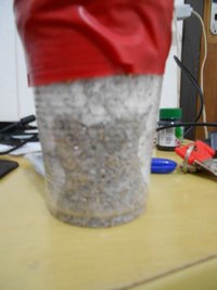 DSCN0801.JPG
