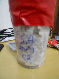 DSCN0800.JPG